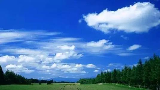 森林可持续经营发展历程与未来方向