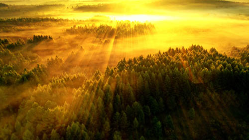 一图读懂 | 国家公园、自然公园生态环境保护成效如何评估？