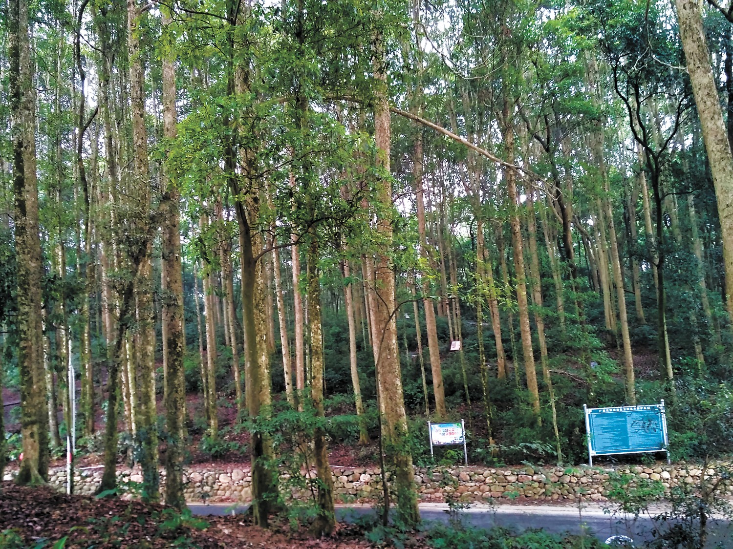 河北生态产品目录发布