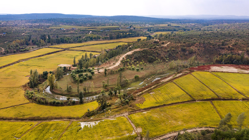 图说新任务 | 2026年林草12项重点工作