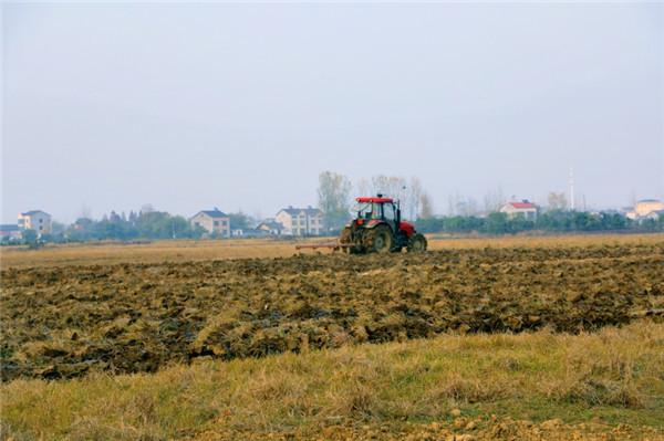 第三届全国湿地保护标委会成立