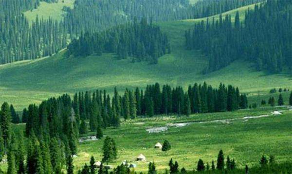 剑门蜀道（翠云廊）获评联合国“地球家园杰出示范区”